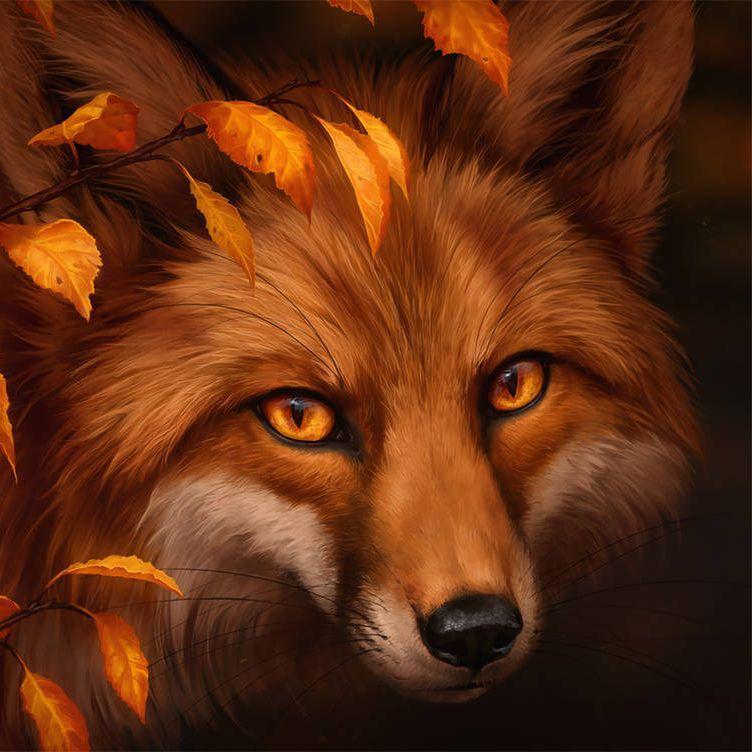 Player FoxShOOtie avatar