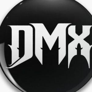 DMX_313 avatar