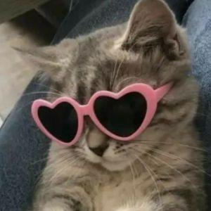 pluxuryluv