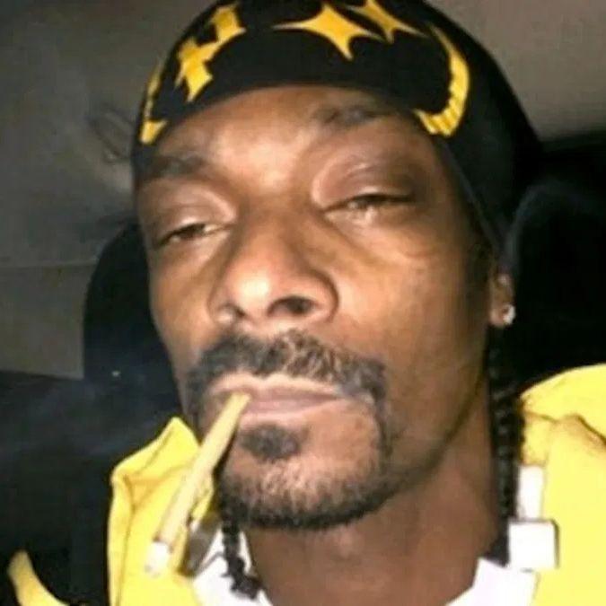 Sharckyy avatar