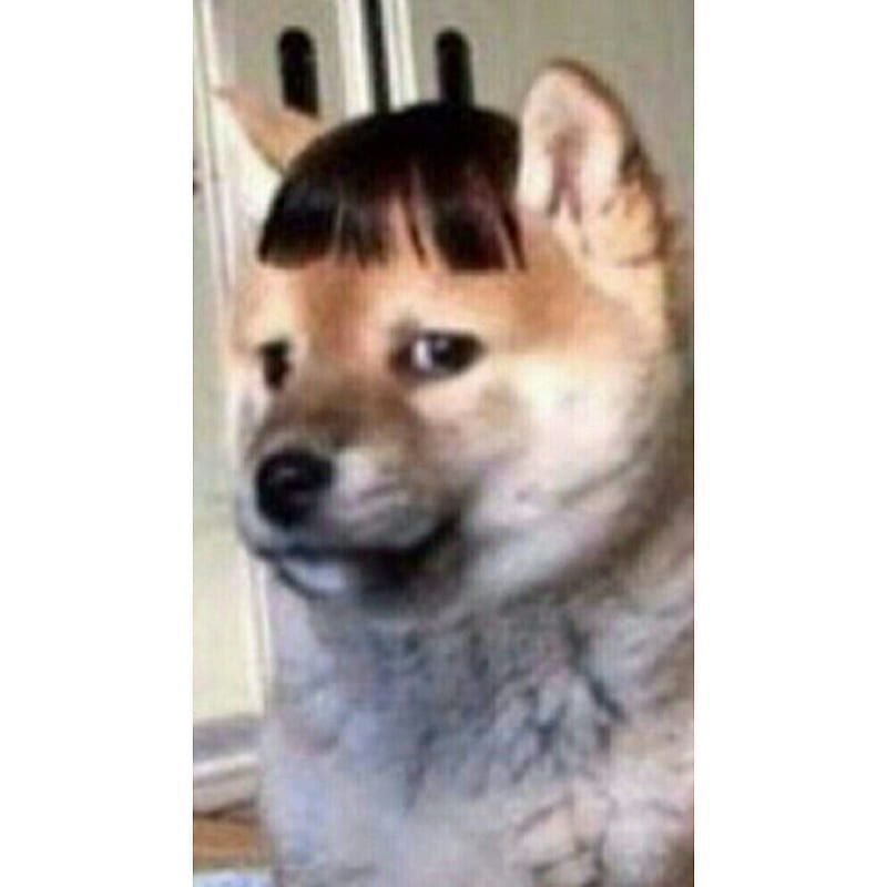_Bruutaal_ avatar