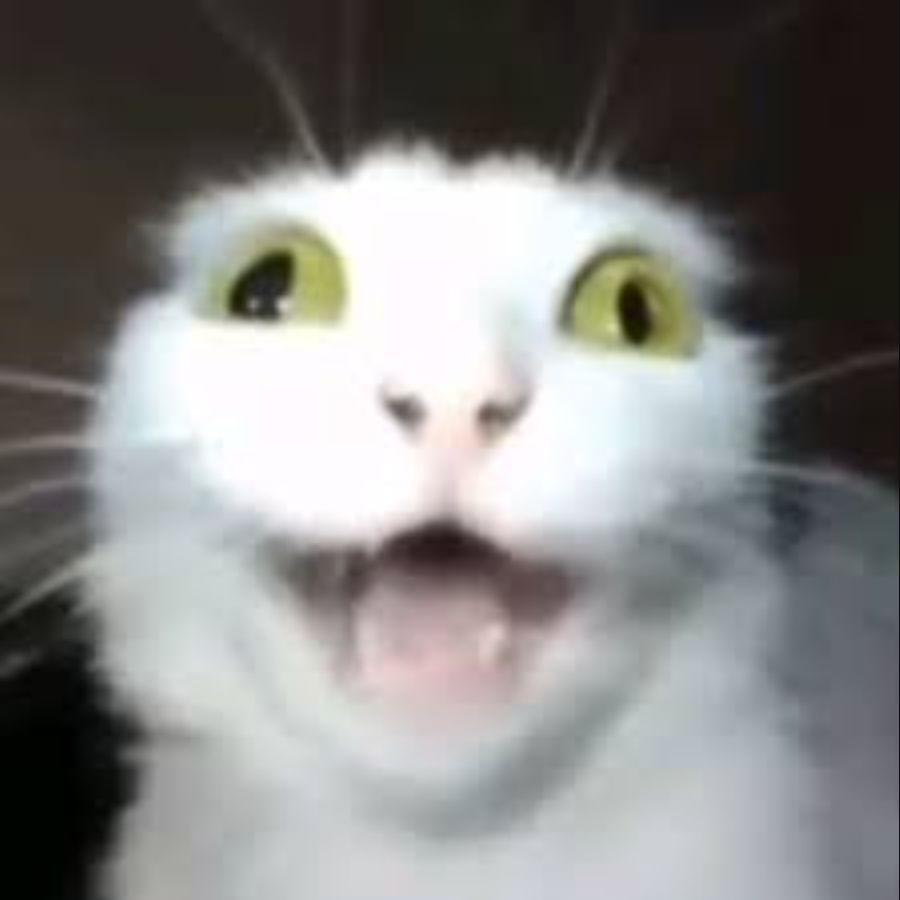 FRMILKIN avatar