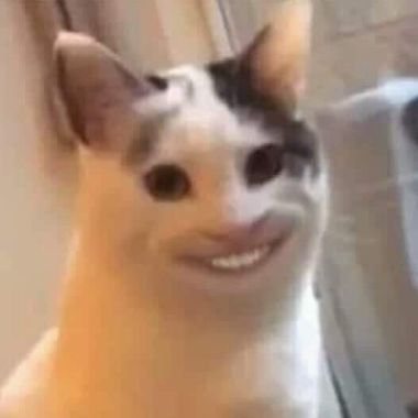 Pav3zki