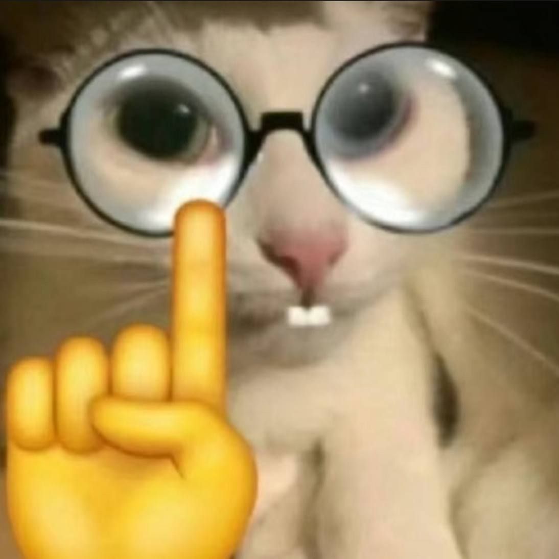 nilerak666
