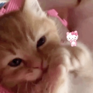 callmemommy