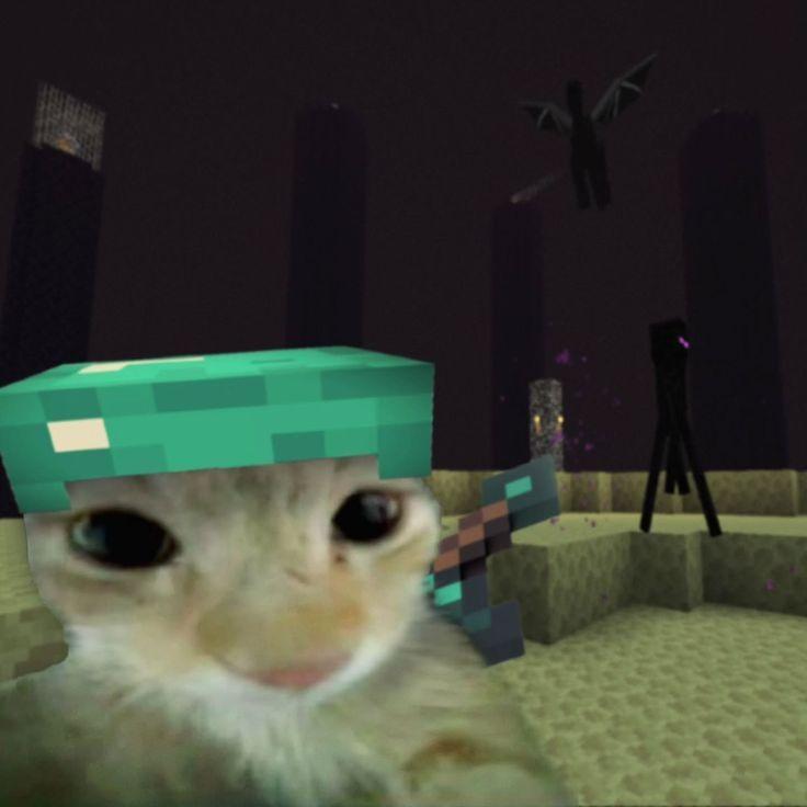 weerty avatar