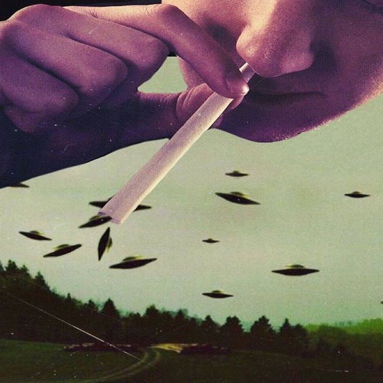 bob_