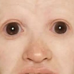 Tomuskas