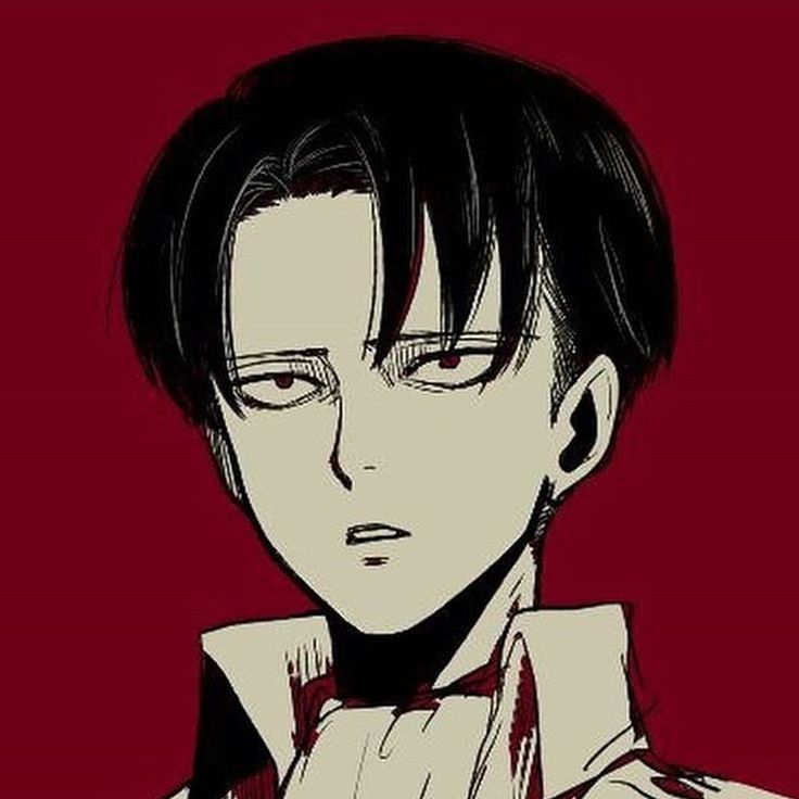 SHEVA_zxc
