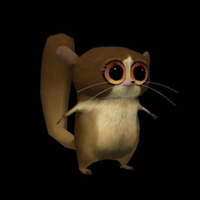 Im_mort