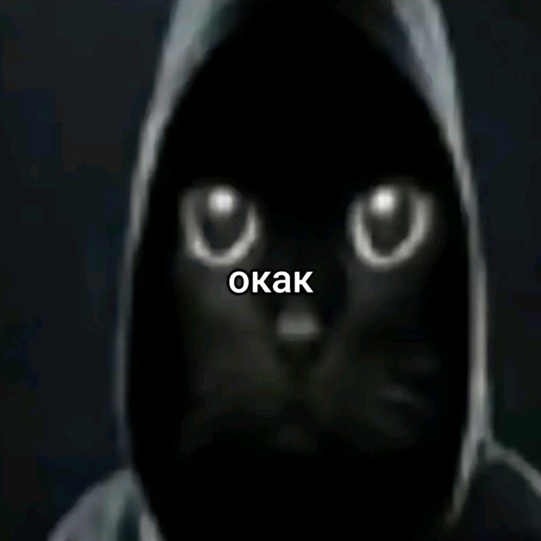 KlaVa avatar