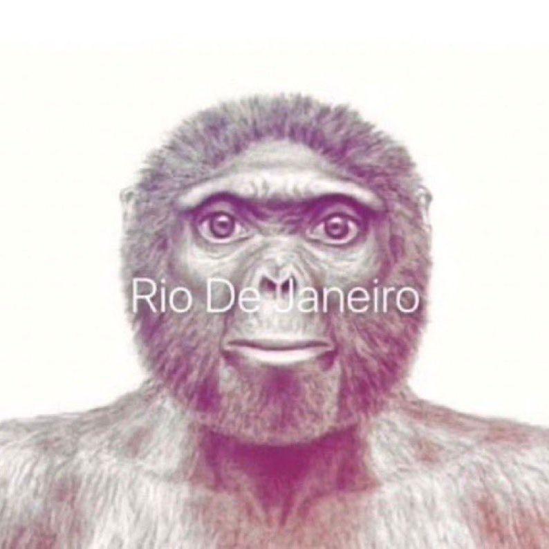 osg avatar