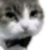fravindopneu