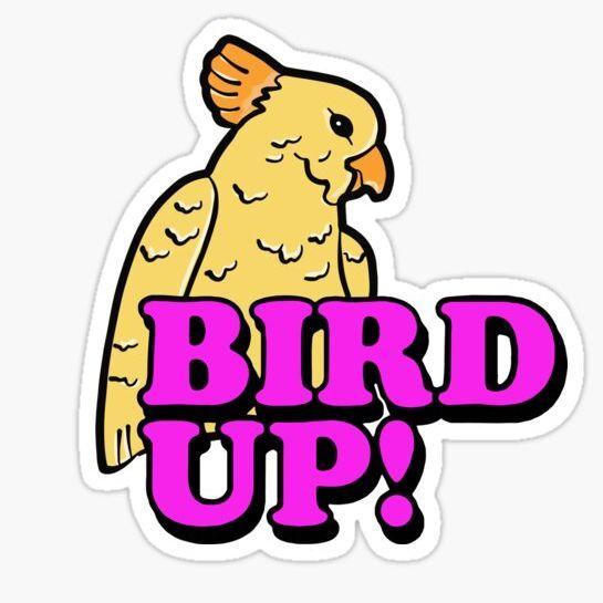 Bird Up