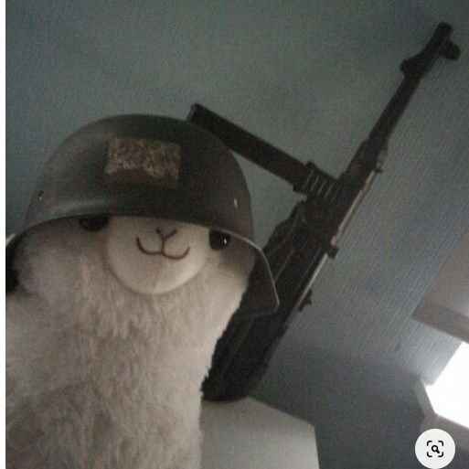 Dfegru