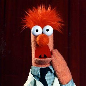 The Muppets