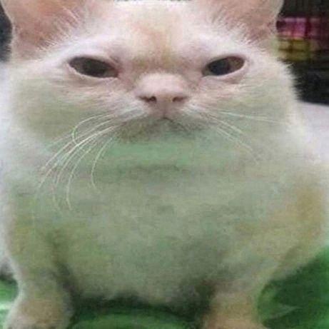 Yanny