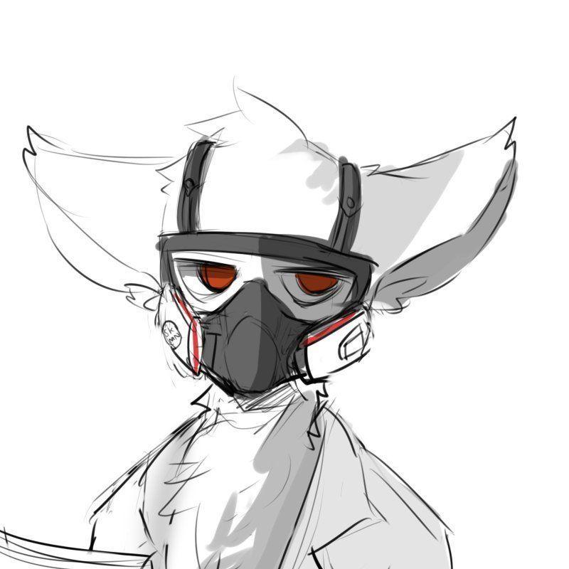 Player Busted_fox avatar