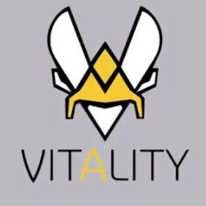 Player Vitalitysh6x avatar