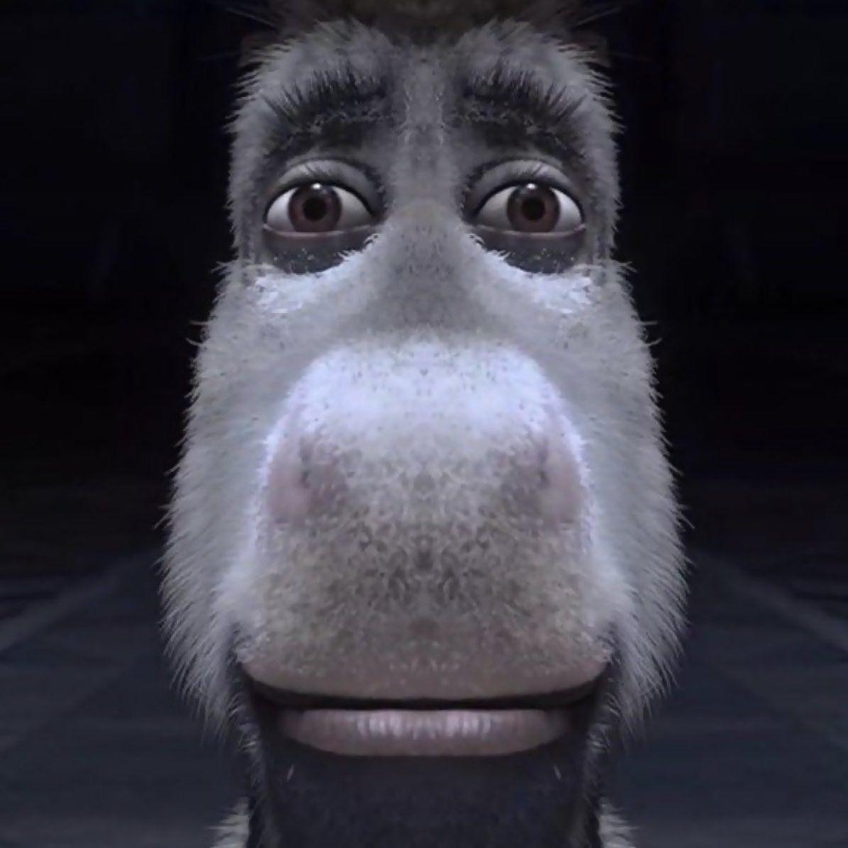 haffe- avatar