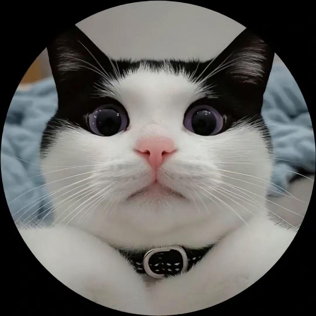 CarryWek avatar