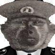 shusheraeba avatar
