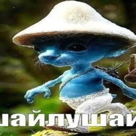 ChikatiloUSR