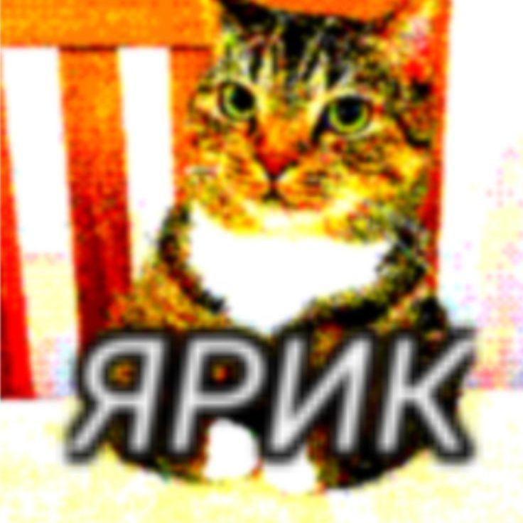 KRINCHZxX avatar