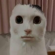 Tymrexx