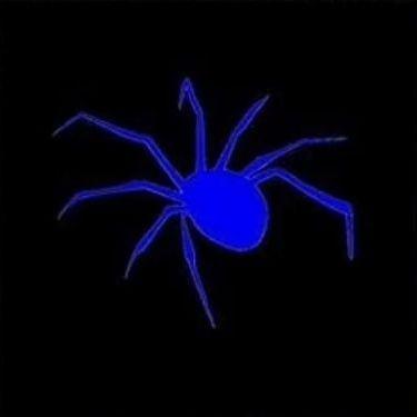 _Wendi_ avatar