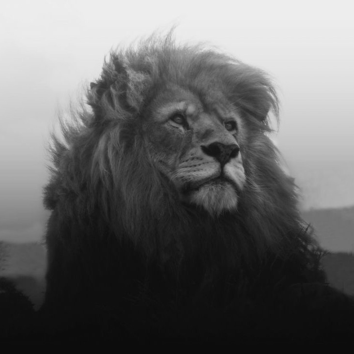 nattvandrare