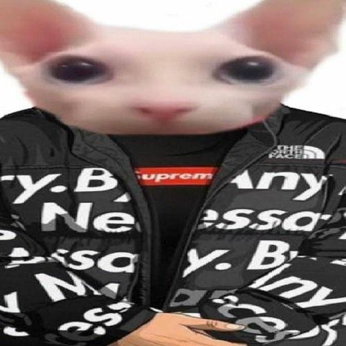 snusnjutare