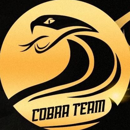 CobraTeam