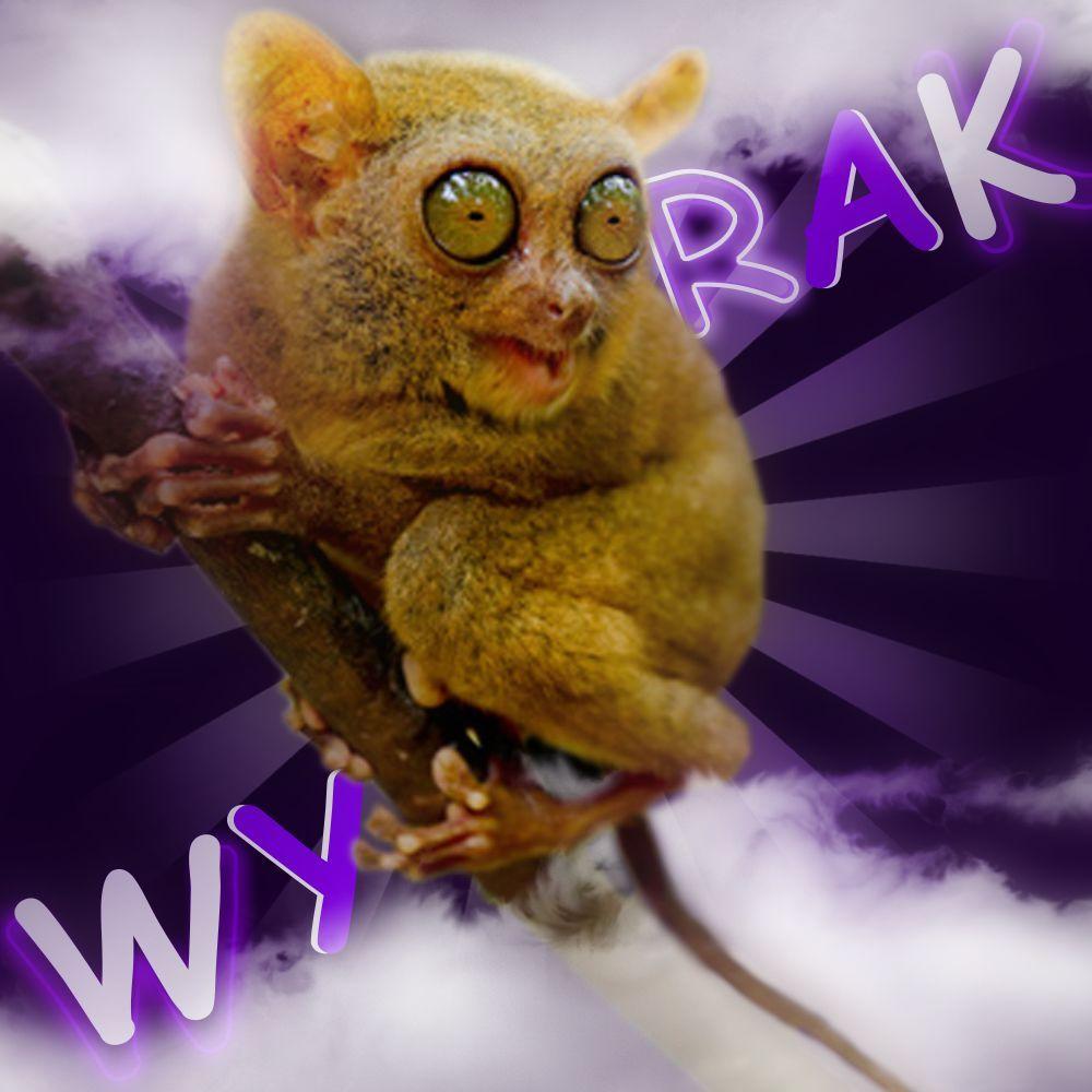 Wyrakowy avatar