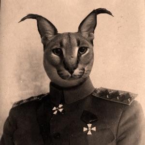 vadimebuvrot avatar