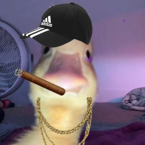 dangerbaxa21