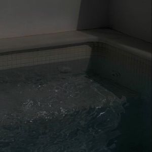 prokoxxd