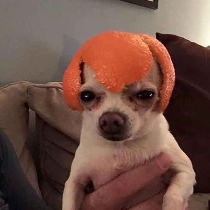 HiNkALiNaaa