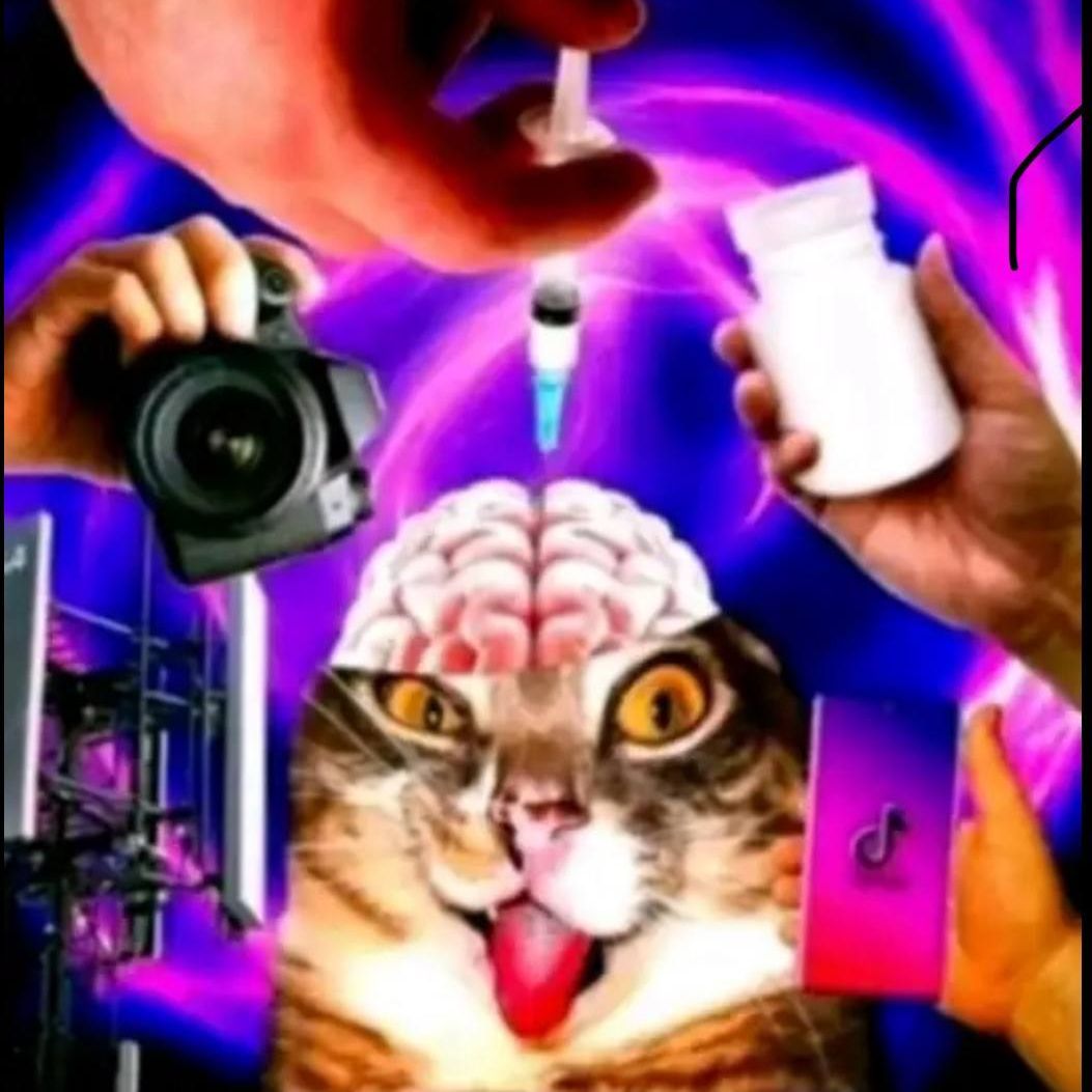 petyx20007