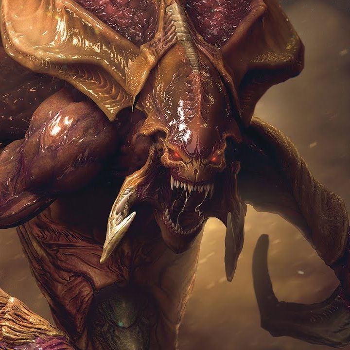zerg581