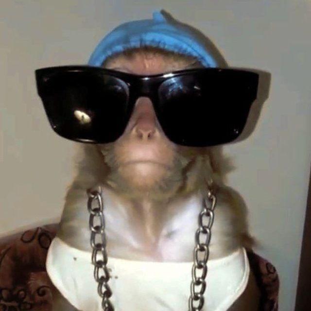 6lackky avatar