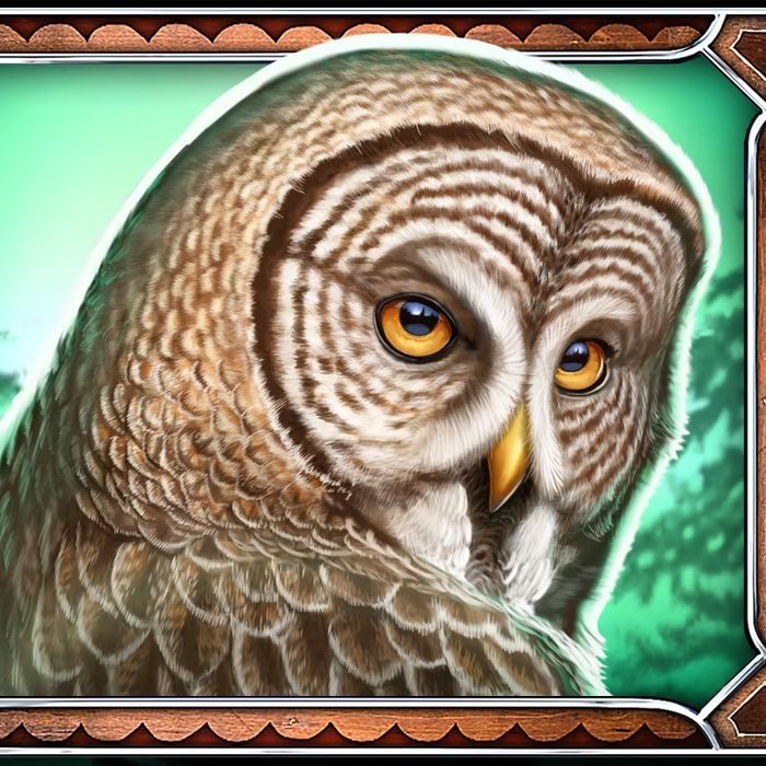 2E_owl FACEIT avatar