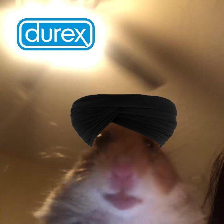 kebabhamster avatar