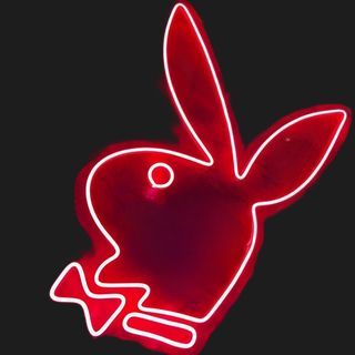 team_shpyntiks