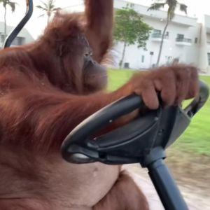 0k I pull up