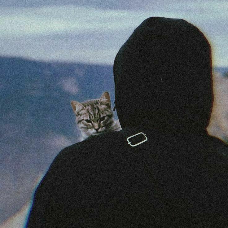 -swoky-