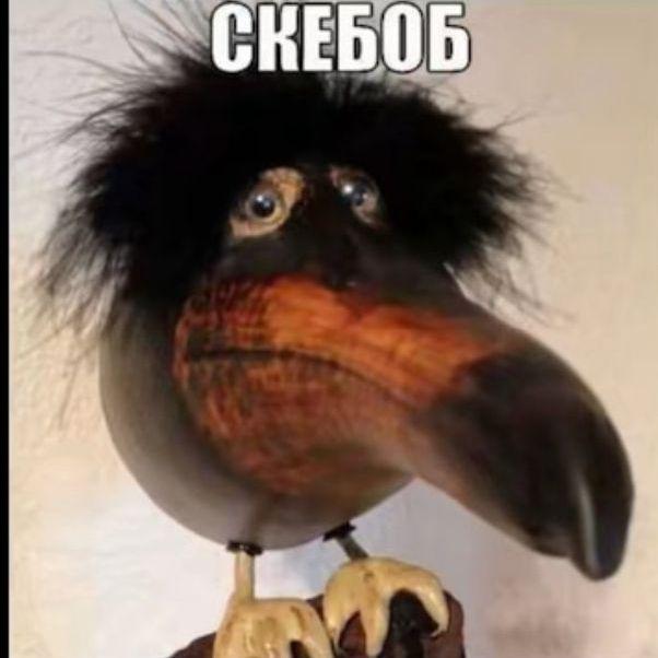 chechick