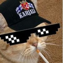 _N1k0s avatar