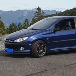 -Peugeot_206 avatar