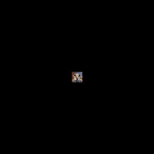 wr1ng avatar